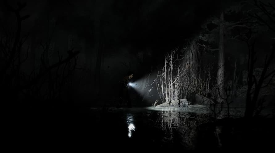 Silver Pines - Coming Soon