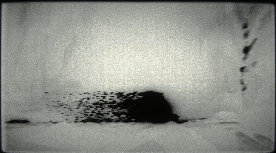 OMUT - Coming Soon