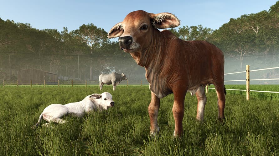 Farming Simulator 25 - Beans & Alpacas Expansion