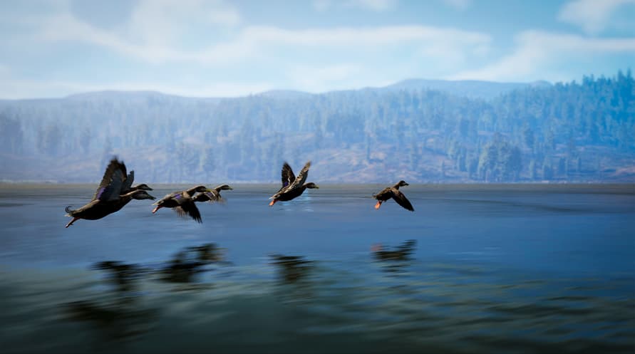 Hunting Simulator 3