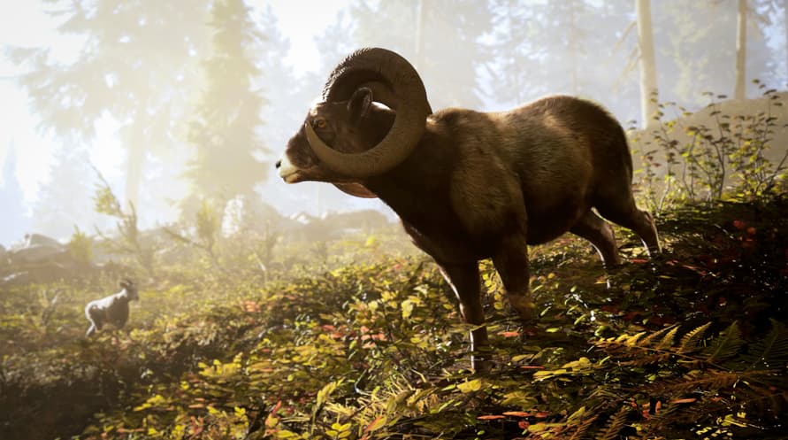 Hunting Simulator 3 - Apex Predator Edition