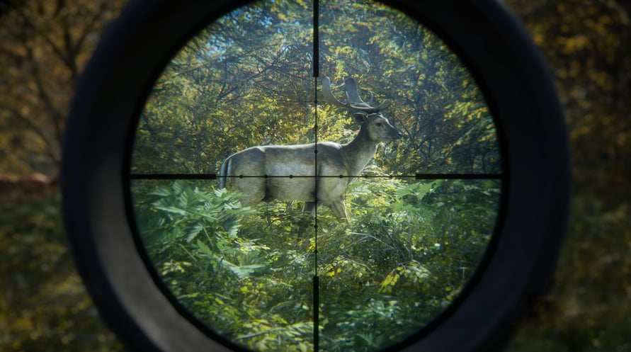 theHunter: Call of the Wild™ - Assorted Sidearms Pack