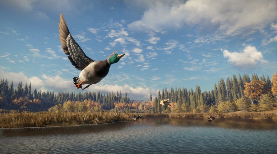 theHunter: Call of the Wild™ - Assorted Sidearms Pack