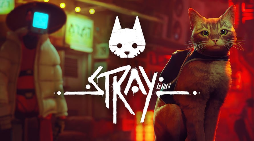 Stray