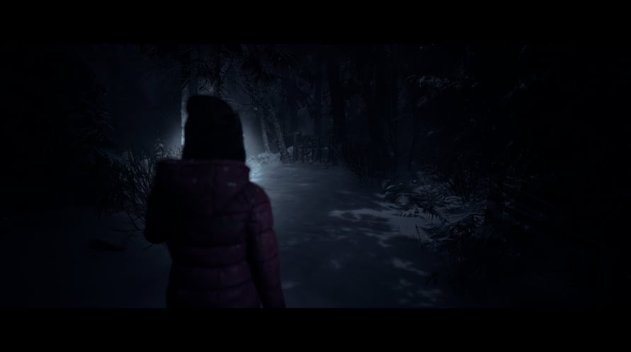 Until Dawn