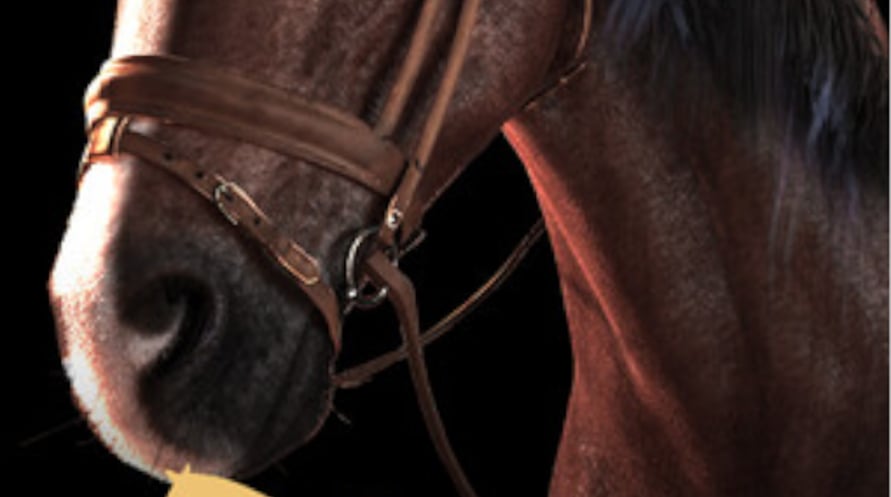 My Horse: Bonded Spirits