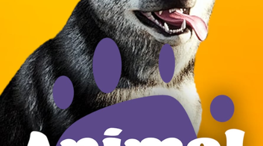 Animal Trainer Simulator
