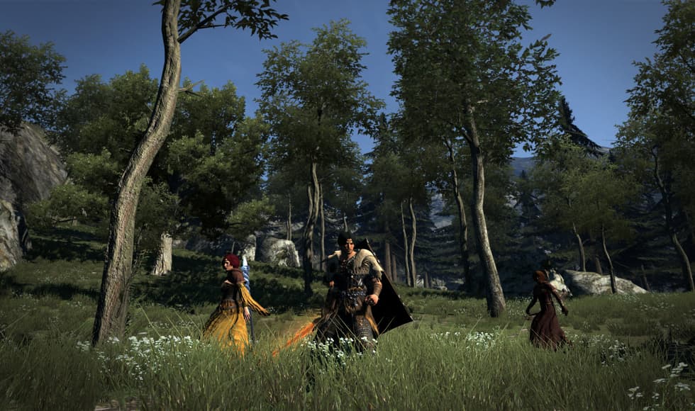 Dragon's Dogma: Dark Arisen