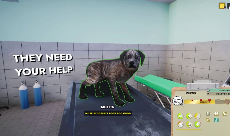 Animal Shelter - Vet Clinic DLC