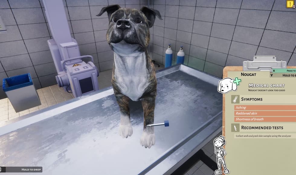 Animal Shelter - Vet Clinic DLC