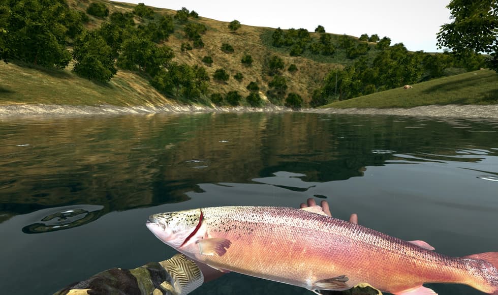 Ultimate Fishing Simulator