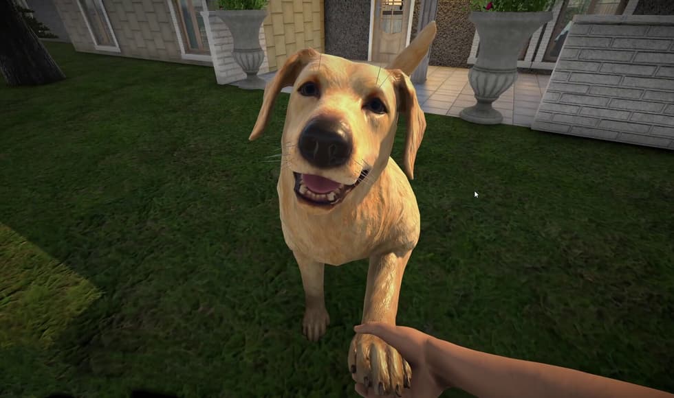 Pets Hotel