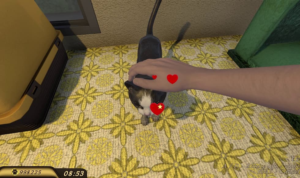 Pets Hotel