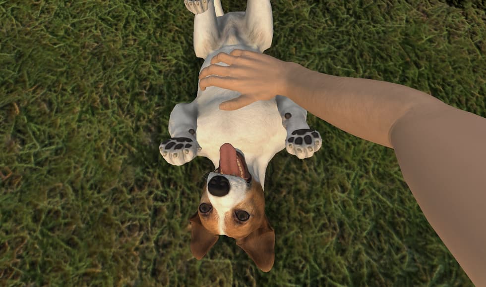 Pets Hotel
