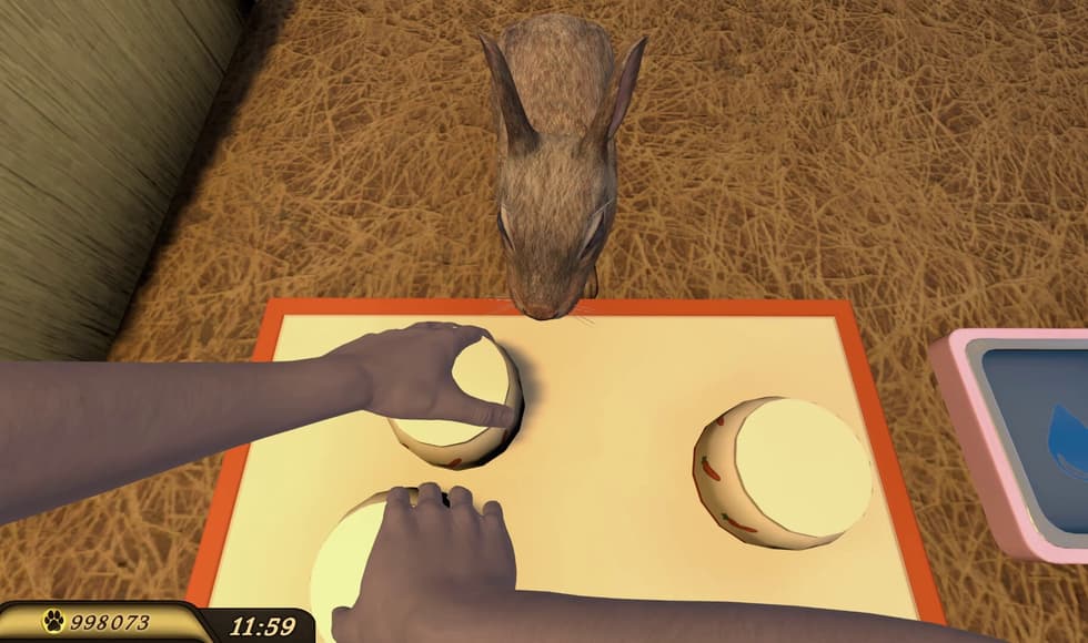 Pets Hotel