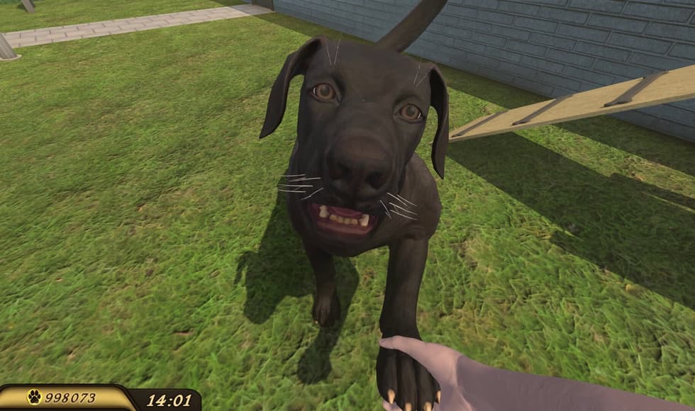 Pets Hotel