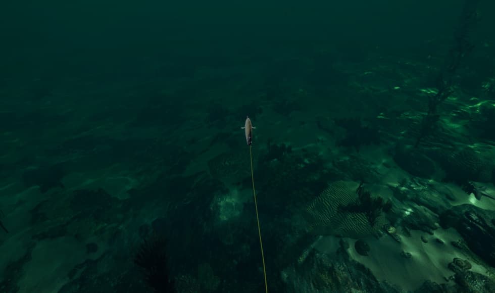 Ultimate Fishing Simulator - Florida DLC