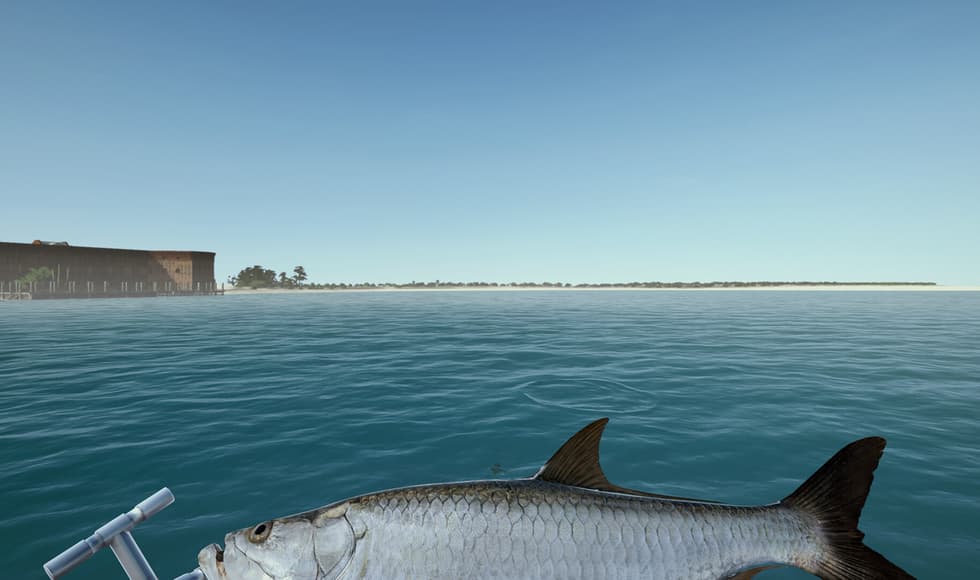Ultimate Fishing Simulator - Florida DLC