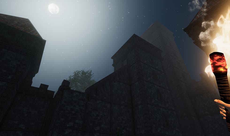 Castle Flipper