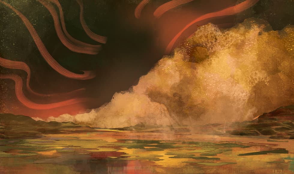 Toads of the Bayou