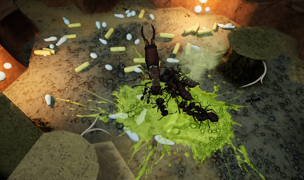 Empires of the Undergrowth - Exploding Ants