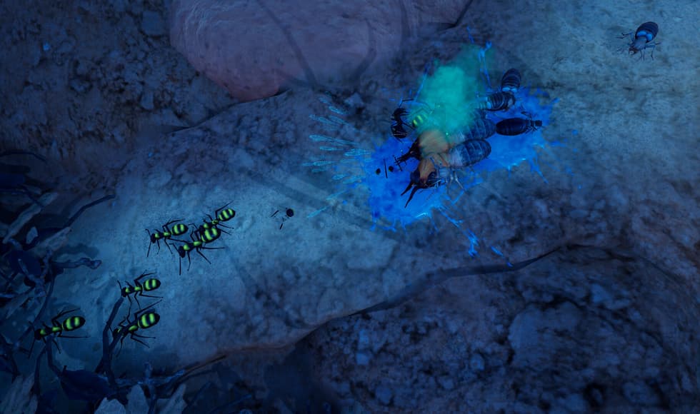 Empires of the Undergrowth - Exploding Ants