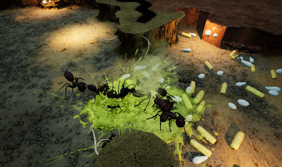 Empires of the Undergrowth - Exploding Ants