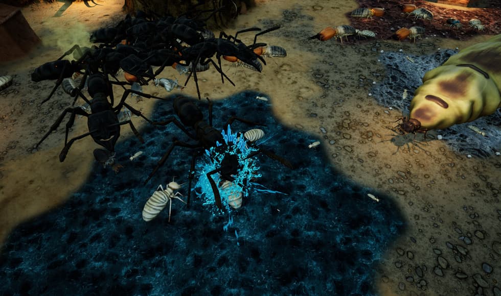 Empires of the Undergrowth - Exploding Ants