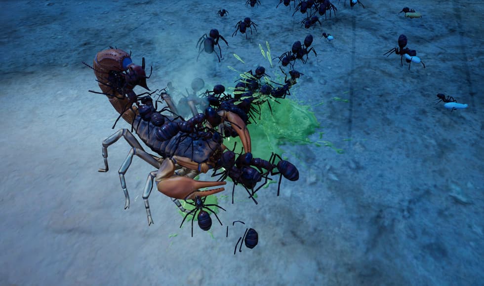 Empires of the Undergrowth - Exploding Ants
