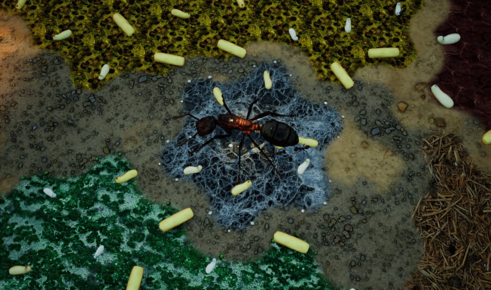 Empires of the Undergrowth - Exploding Ants