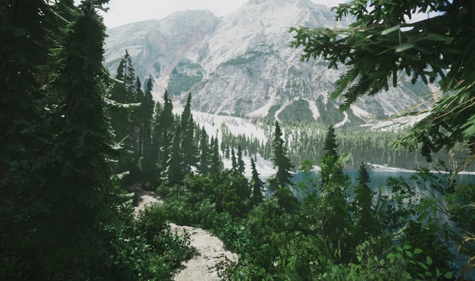 Lushfoil Photography Sim