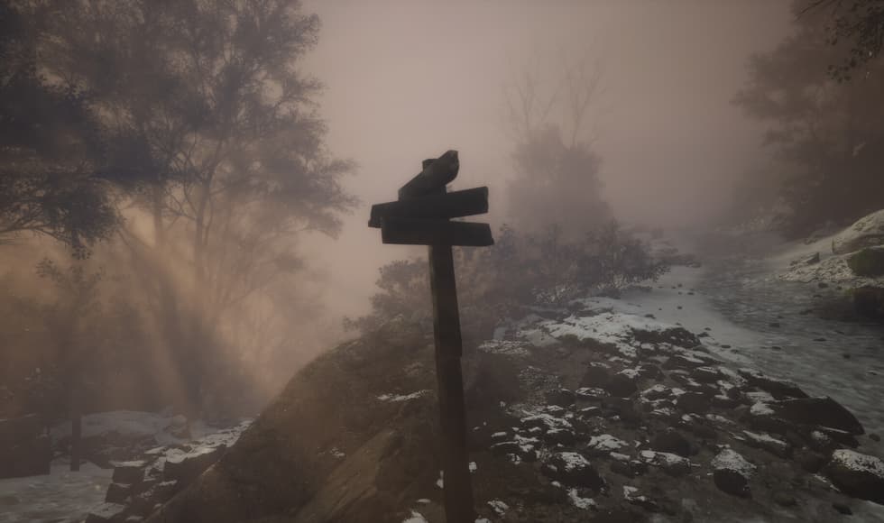 Lushfoil Photography Sim