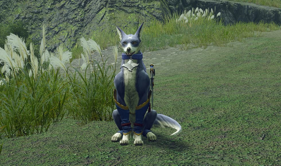 MONSTER HUNTER RISE + SUNBREAK DELUXE