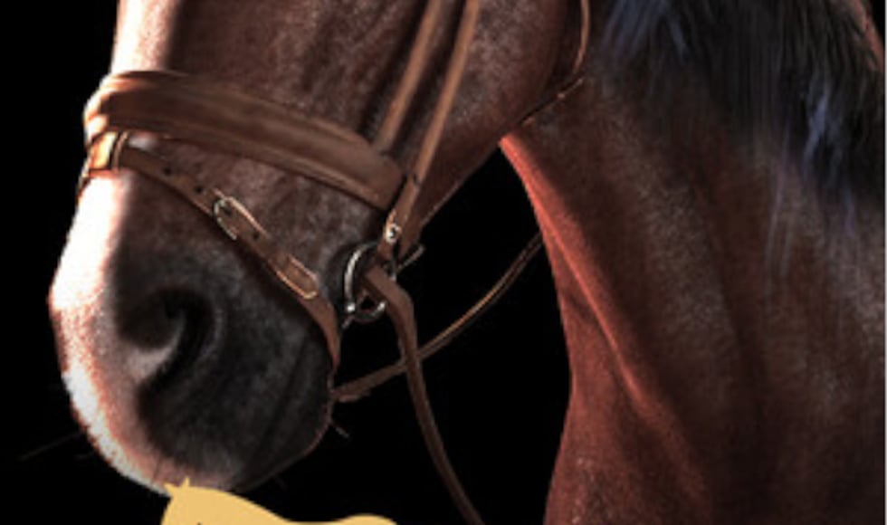 My Horse: Bonded Spirits
