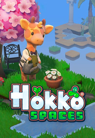 Hokko Spaces